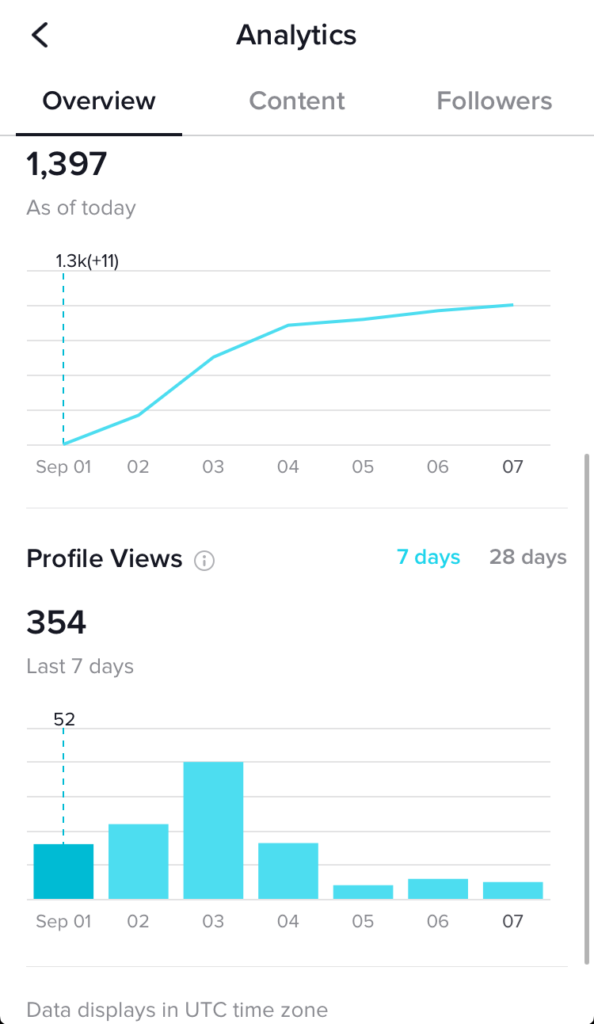 análise do tiktok - visão geral