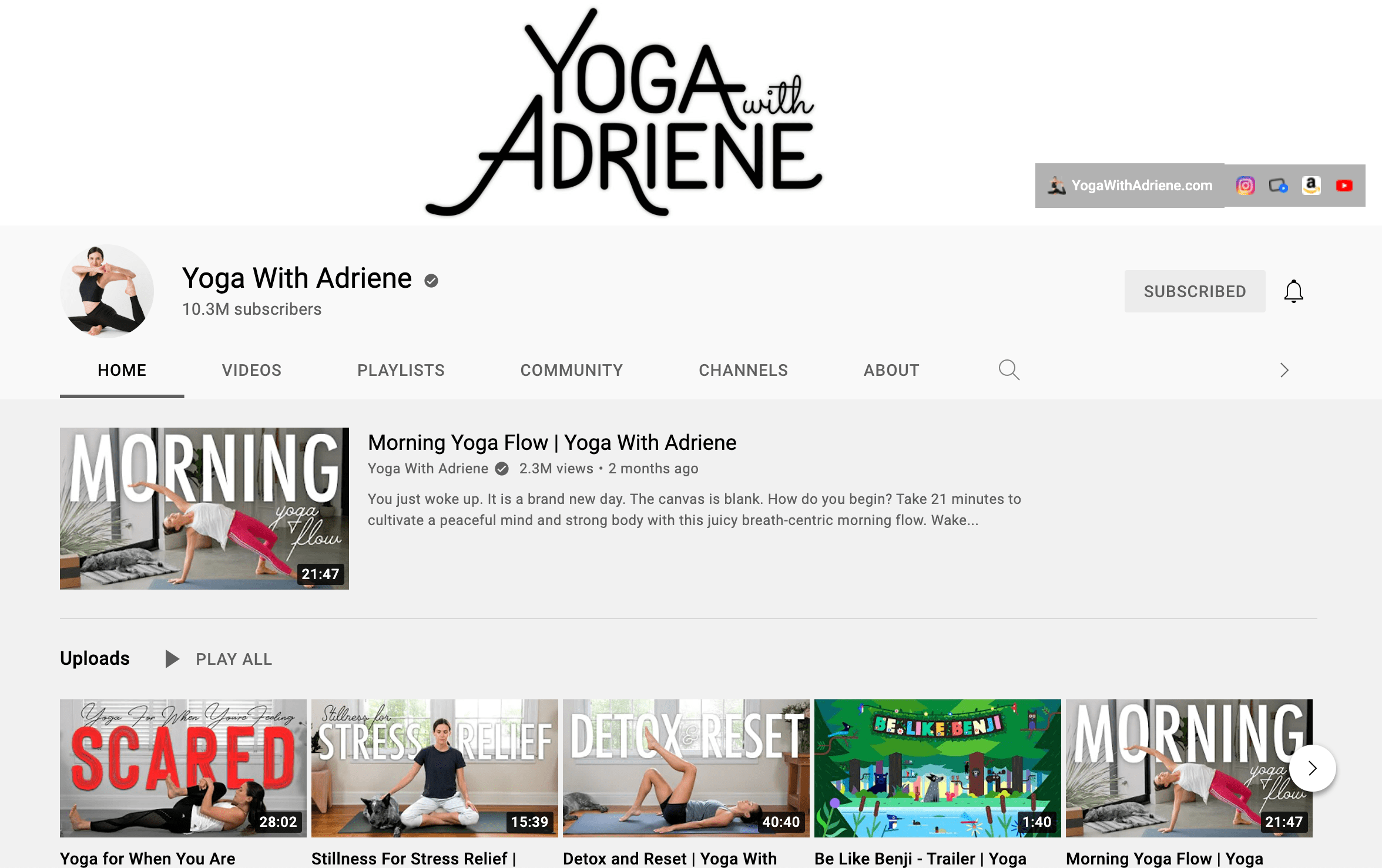 數字創作者 Yoga With Adrienne 的 YouTube 頻道的屏幕截圖。