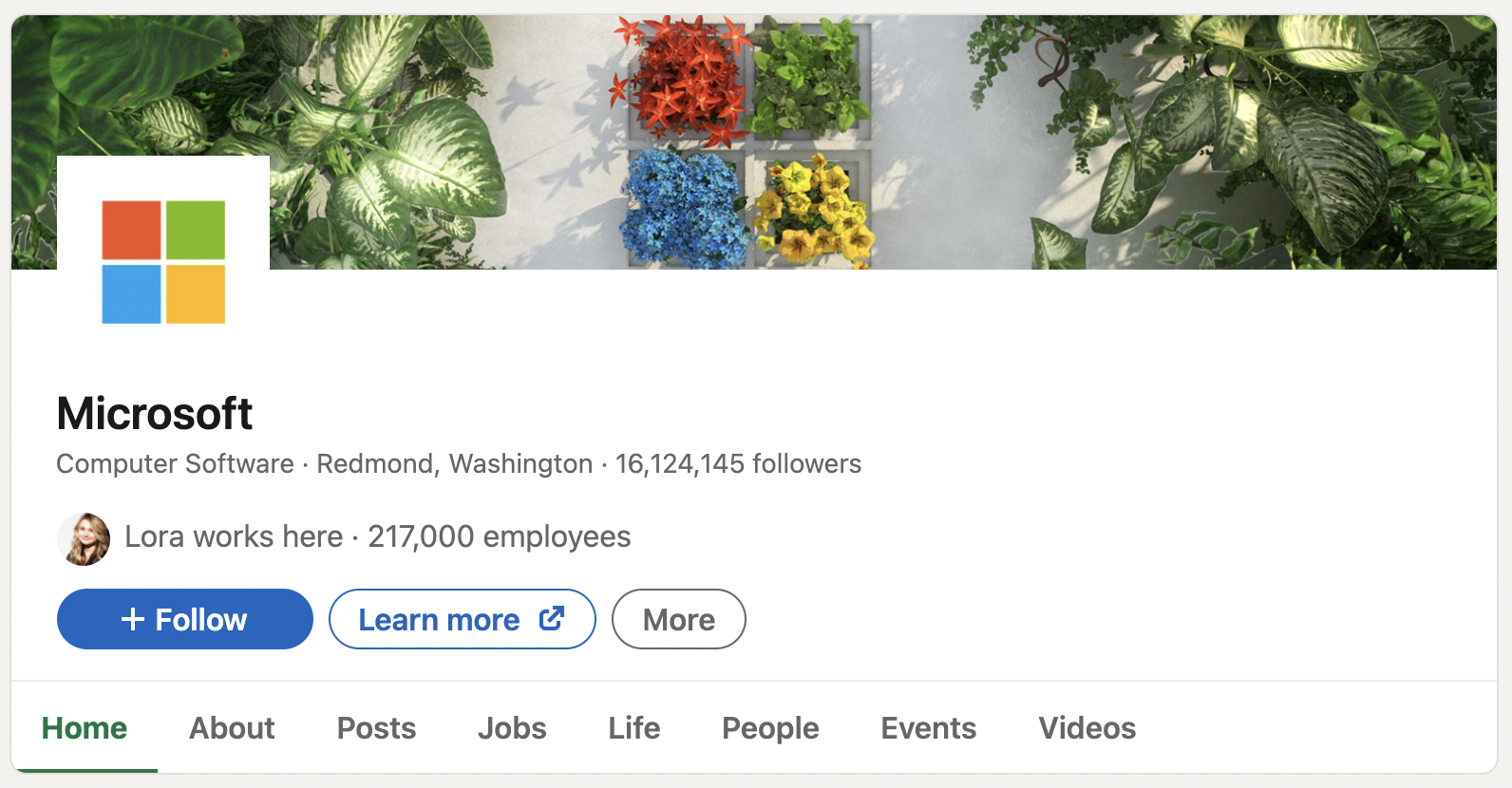 Captura de tela da imagem da capa do LinkedIn da Microsoft, mostrando diferentes flores organizadas como o logotipo da marca.