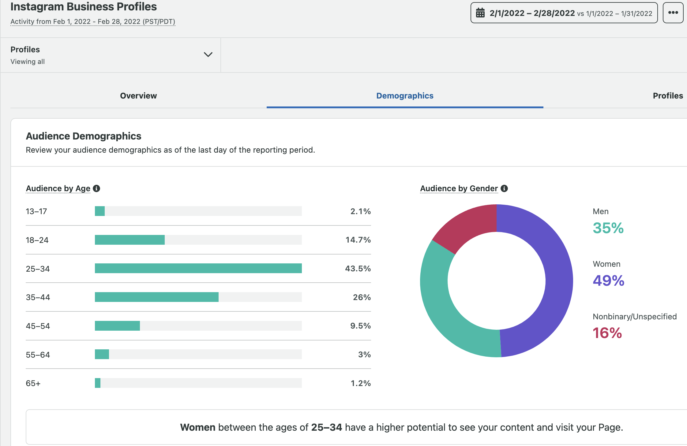 IG Profile Demographcis