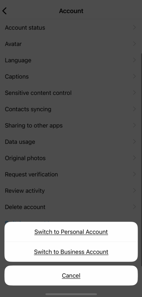 Screenshot delle impostazioni dell'account dell'app Instagram con due scelte nella parte inferiore dello schermo: passa all'account personale o passa all'account aziendale.