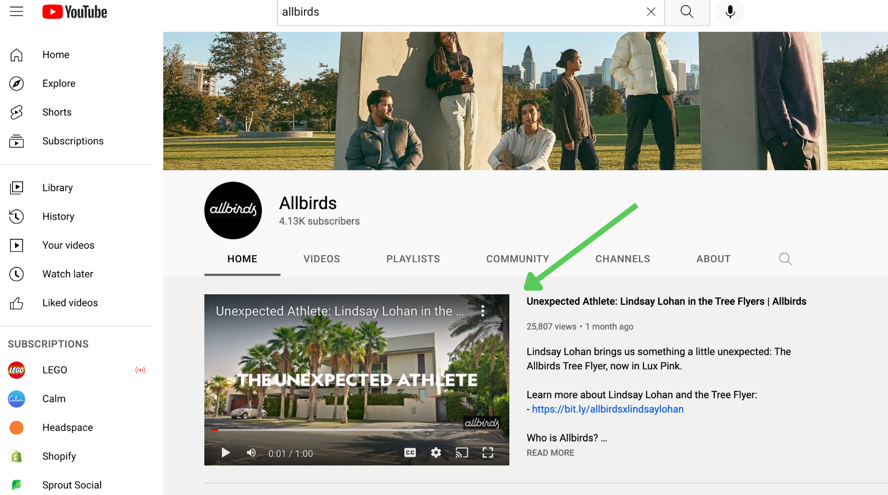 AllBirds YouTube チャンネルの上部にあるチャンネル トレイラーの例。