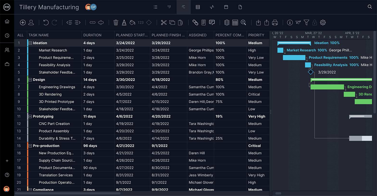 Diagrama Gantt a managerului de proiect