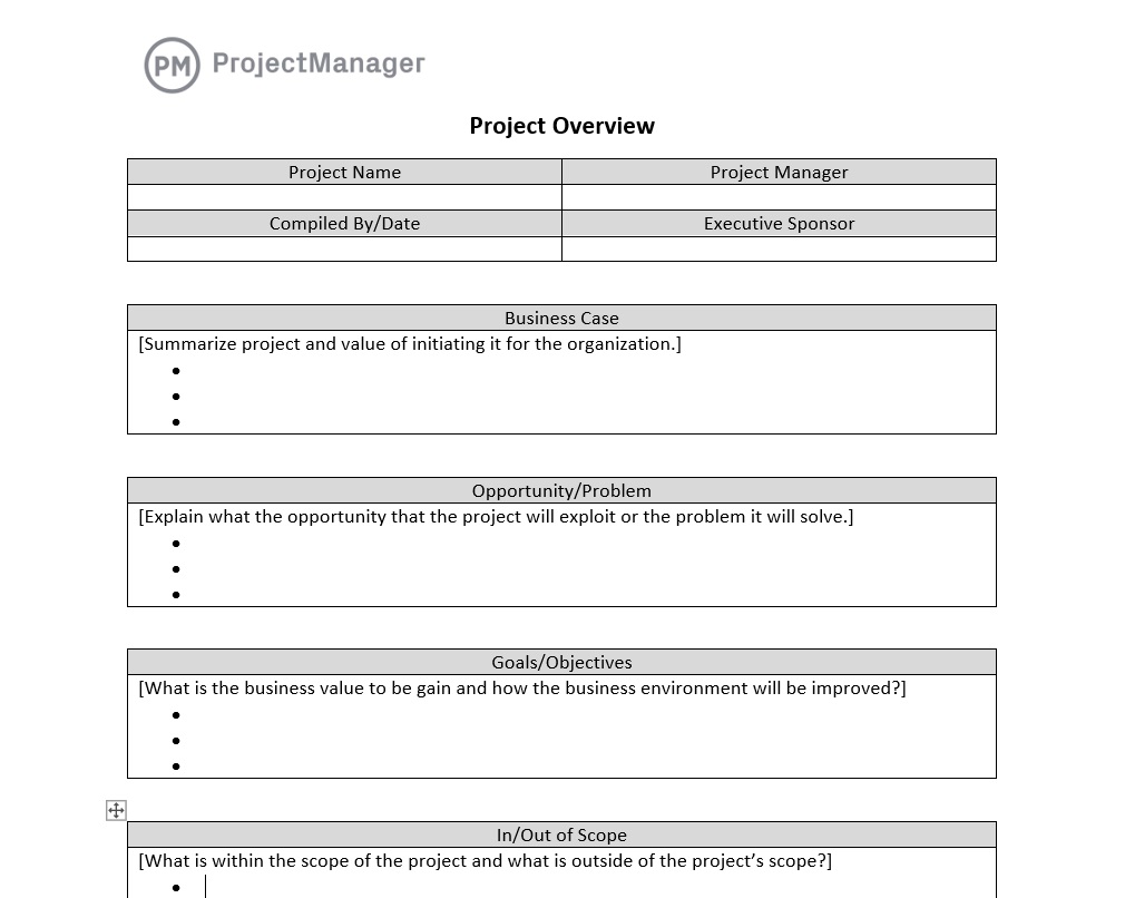 ProjectManager のプロジェクト概要テンプレート