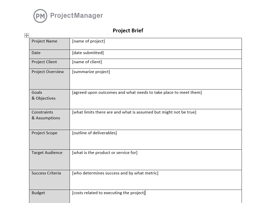 Modelo de resumo do projeto no ProjectManager