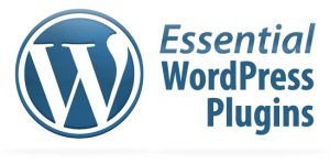 wordpress 网站开发者