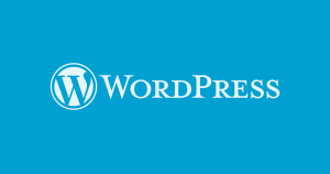 wordpress 网站开发者