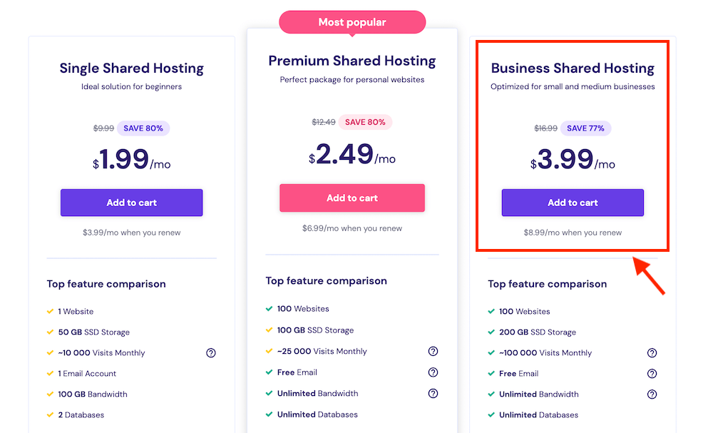 Hostinger Business Pricing