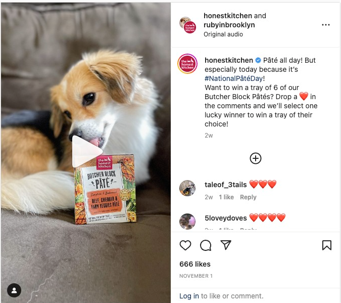 โพสต์การทำงานร่วมกันบน Instagram ระหว่าง Honest Kitchen และ Ruby ใน Brooklyn แสดงให้เห็นสุนัขตัวเล็กกำลังกินขนมจากถุง