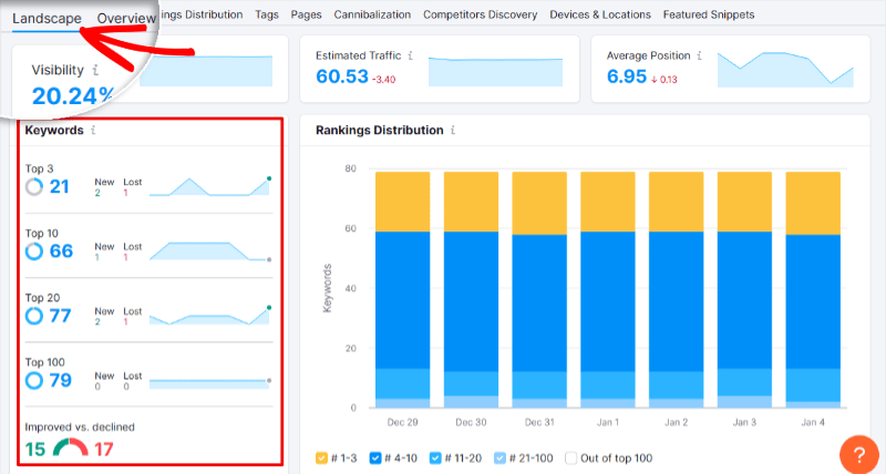 Semrush 位置跟踪景觀選項卡