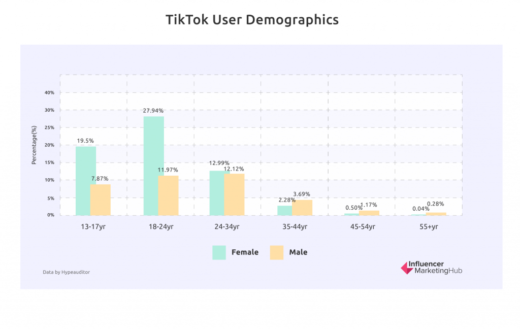 Demografi Pengguna TikTok