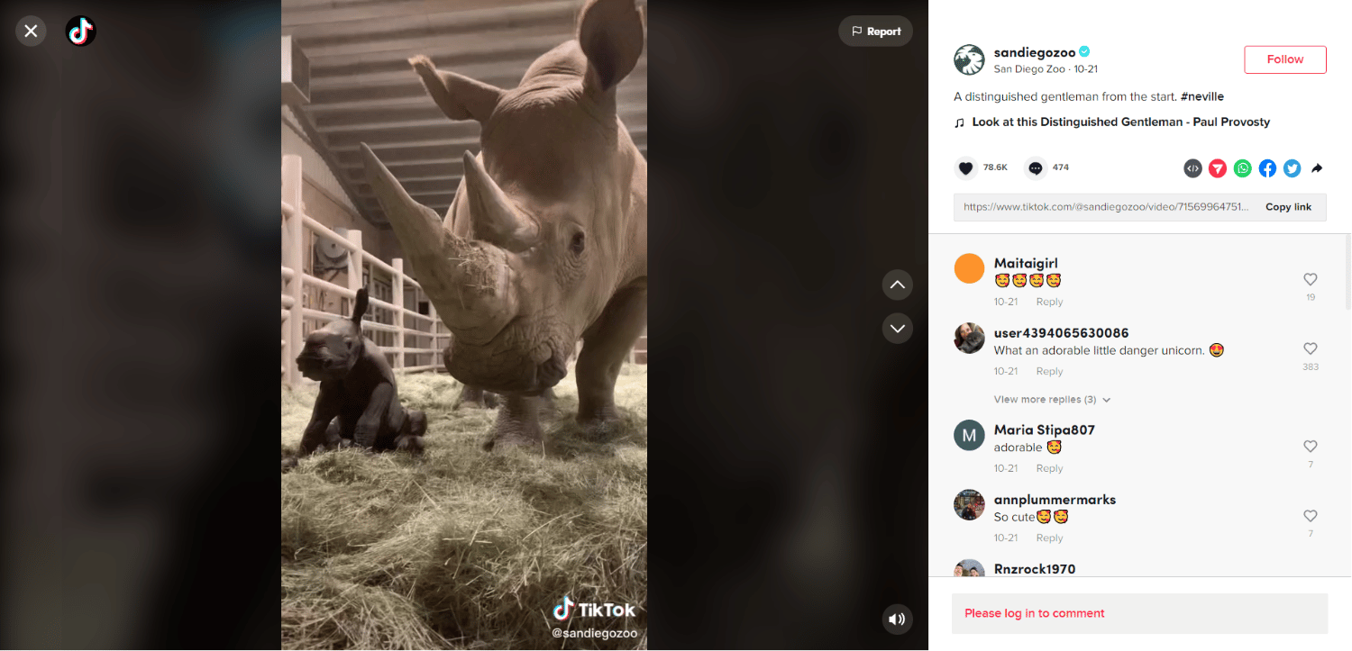 exemple de vidéo abrégée tiktok - zoo de san diego