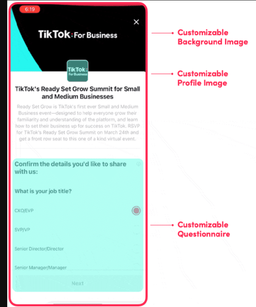 iş için tiktok reklamları