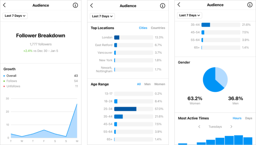 Instagram-Analyse