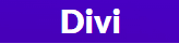 creador de sitios web divi