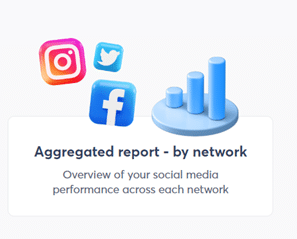 exemple de rapport sur les réseaux sociaux facebook