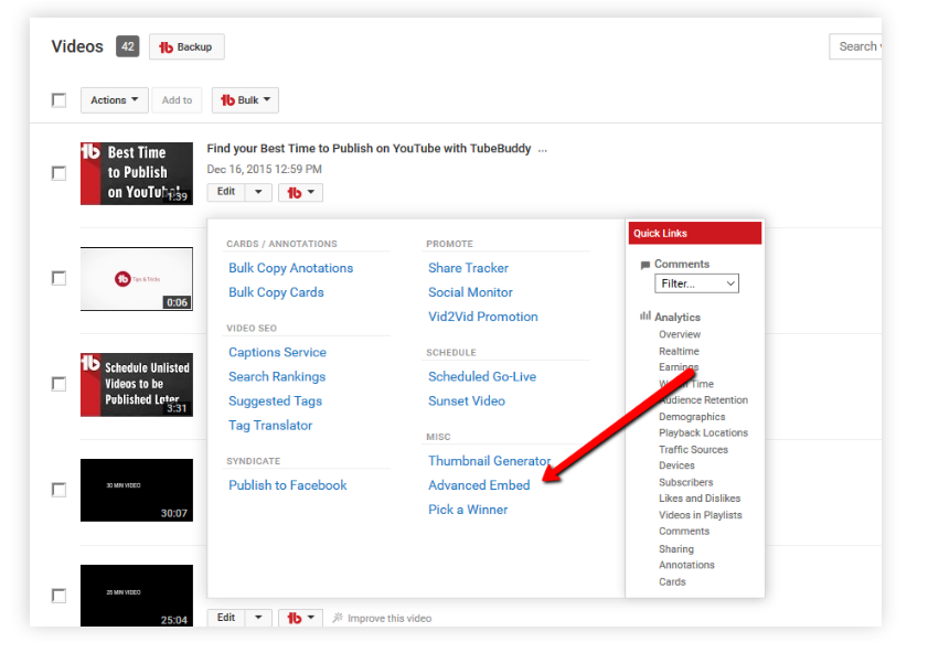 TubeBuddy Review- Advanced video Embedding
