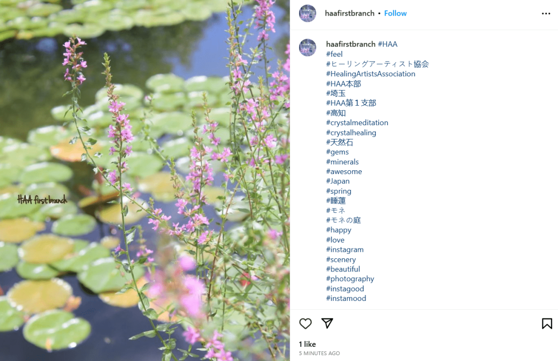 Publication Instagram avec (trop) de hashtags