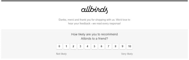 Обзор Allbirds по электронной почте