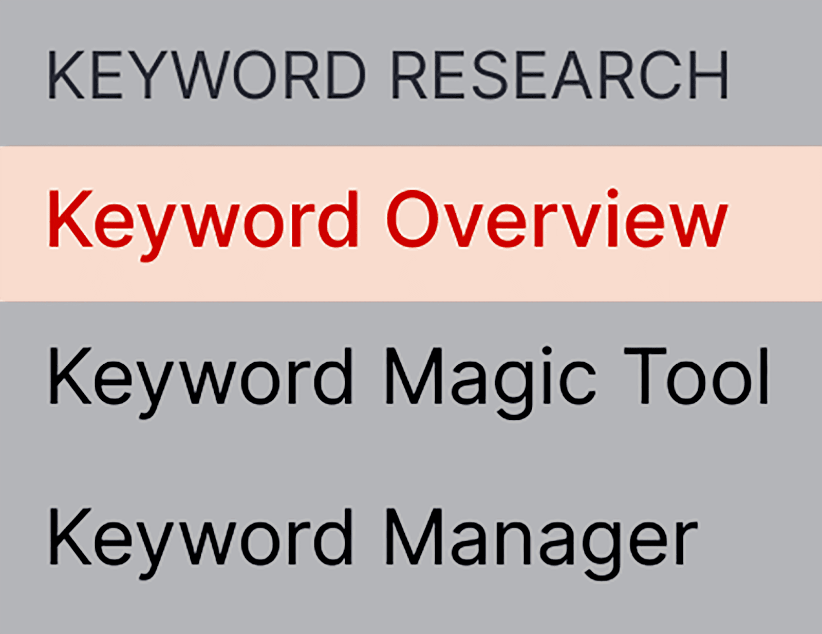 Keyword Overview tool