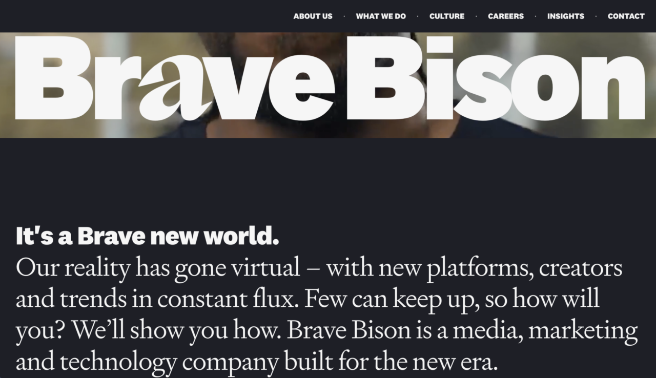 Agencia de marketing Brave Bison