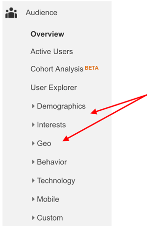 Google Analytics kitle bölümü