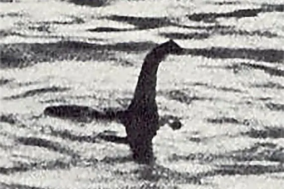 Image from Wikipedia of (supposedly) the Loch Ness monster.