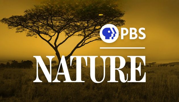 Natureza PBS