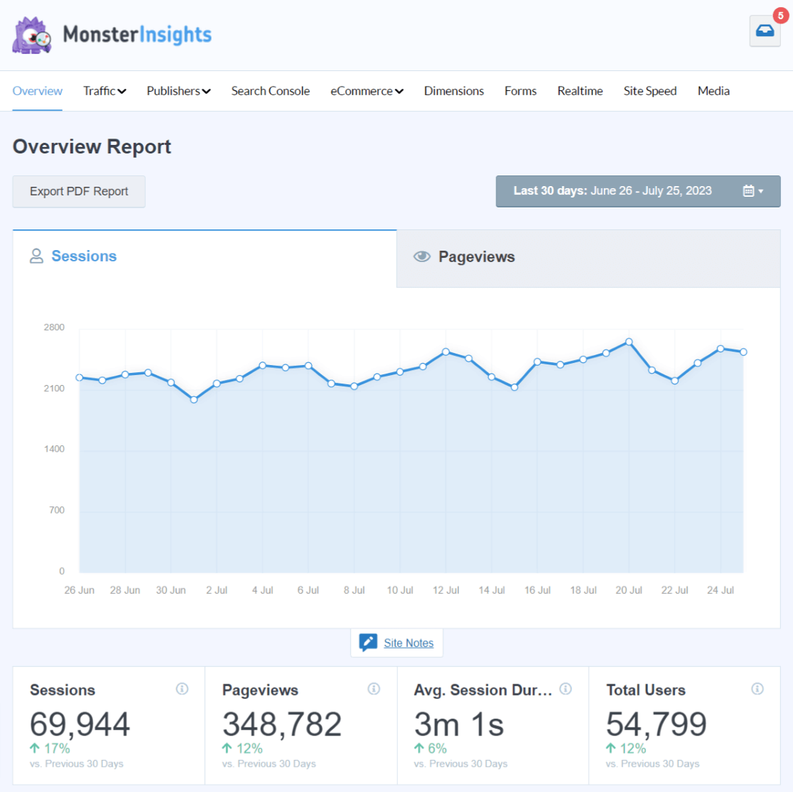 Raport de prezentare generală MonsterInsights