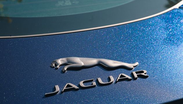 Jaguar