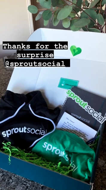 IG 故事中所展示的 Sprout 贓物