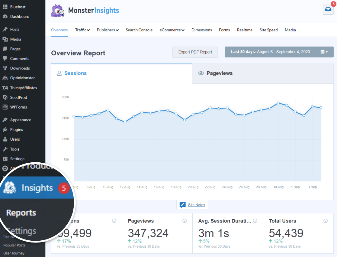 MonsterInsights 见解 » 报告